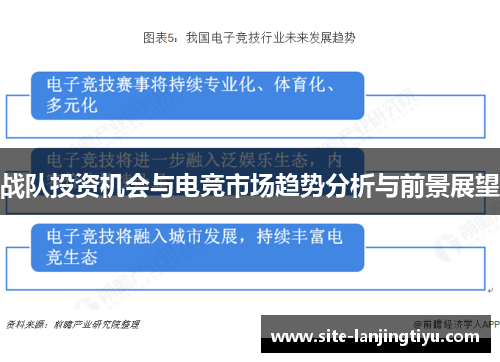 战队投资机会与电竞市场趋势分析与前景展望 战队投资机会与电竞市场趋势分析与前景展望