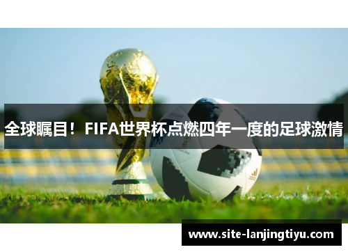 全球瞩目!FIFA世界杯点燃四年一度的足球激情 全球瞩目!FIFA世界杯点燃四年一度的足球激情