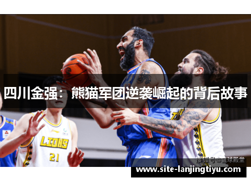 四川金强:熊猫军团逆袭崛起的背后故事 四川金强:熊猫军团逆袭崛起的背后故事