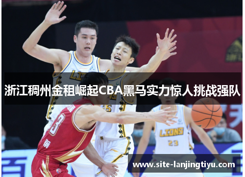 浙江稠州金租崛起CBA黑马实力惊人挑战强队