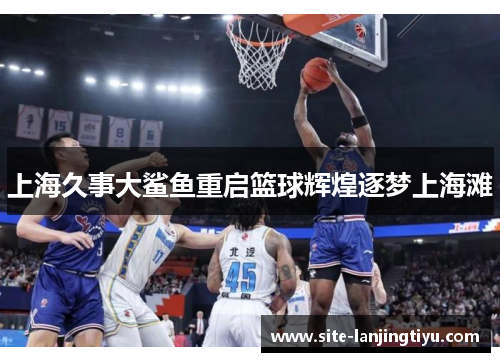 上海久事大鲨鱼重启篮球辉煌逐梦上海滩 上海久事大鲨鱼重启篮球辉煌逐梦上海滩
