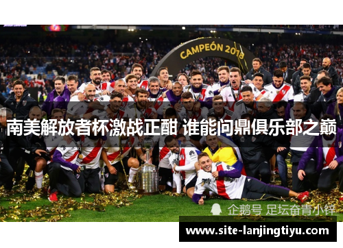 南美解放者杯激战正酣 谁能问鼎俱乐部之巅 南美解放者杯激战正酣 谁能问鼎俱乐部之巅