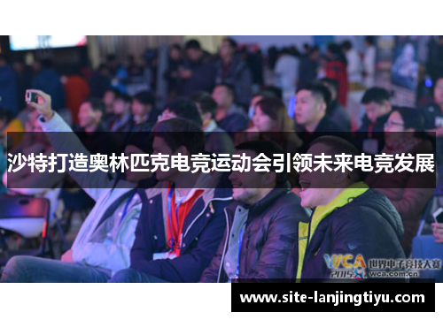 沙特打造奥林匹克电竞运动会引领未来电竞发展 沙特打造奥林匹克电竞运动会引领未来电竞发展