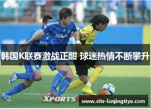 韩国K联赛激战正酣 球迷热情不断攀升 韩国K联赛激战正酣 球迷热情不断攀升