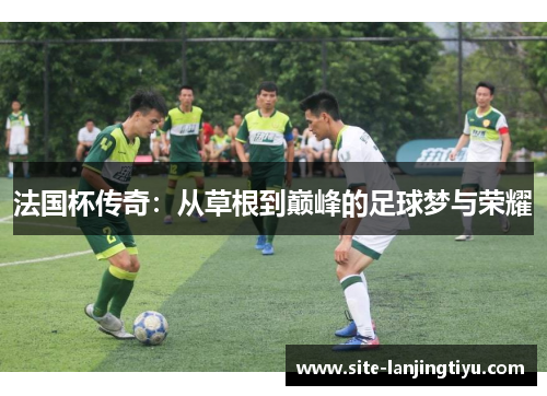 法国杯传奇：从草根到巅峰的足球梦与荣耀