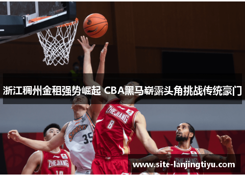 浙江稠州金租强势崛起 CBA黑马崭露头角挑战传统豪门