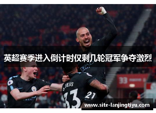 英超赛季进入倒计时仅剩几轮冠军争夺激烈 英超赛季进入倒计时仅剩几轮冠军争夺激烈