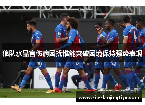 狼队水晶宫伤病困扰谁能突破困境保持强势表现 狼队水晶宫伤病困扰谁能突破困境保持强势表现